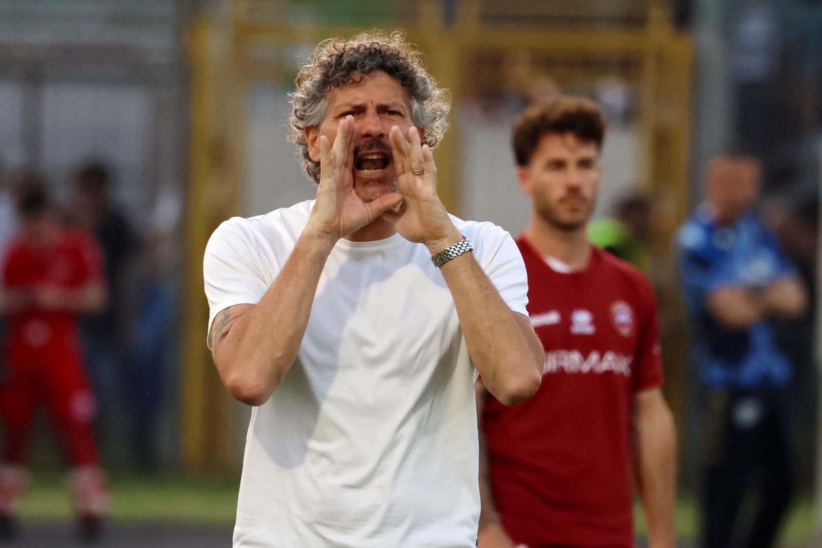 Cittadella, Dal Canto expect lineup changes in Frosinone battle